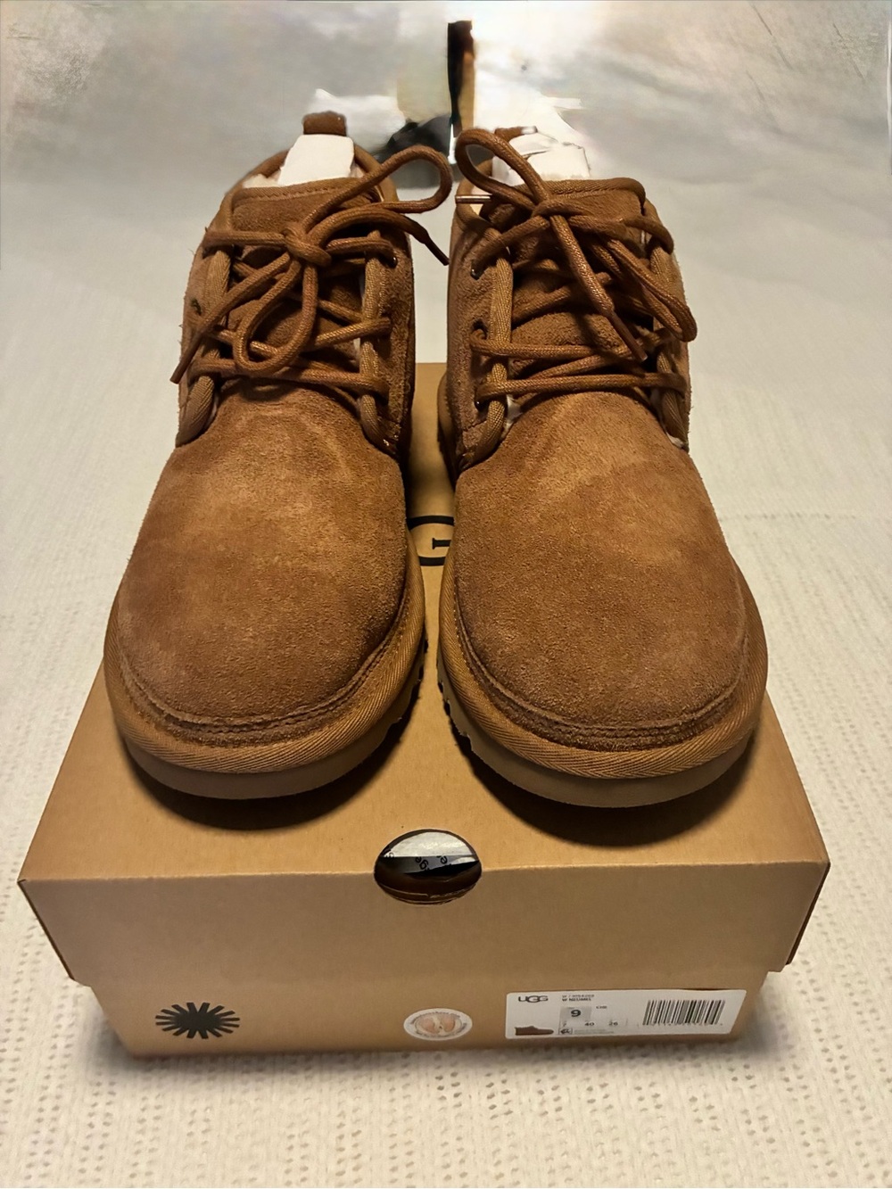 NIB UGG Womans Chestnut Suede Chukka Boot